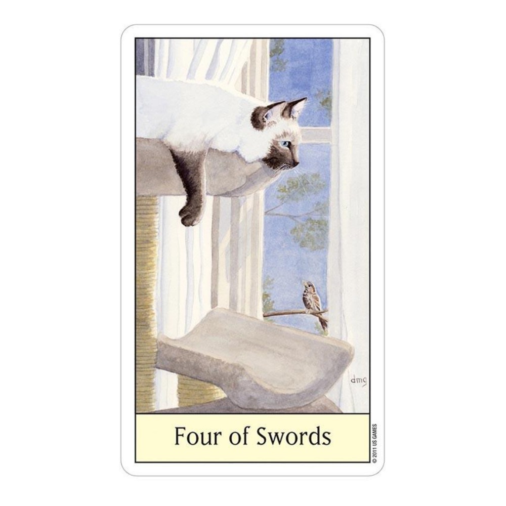 Jeux de cartes Tarot œil de ch - Tarot Deck With Guidebook avis et prix