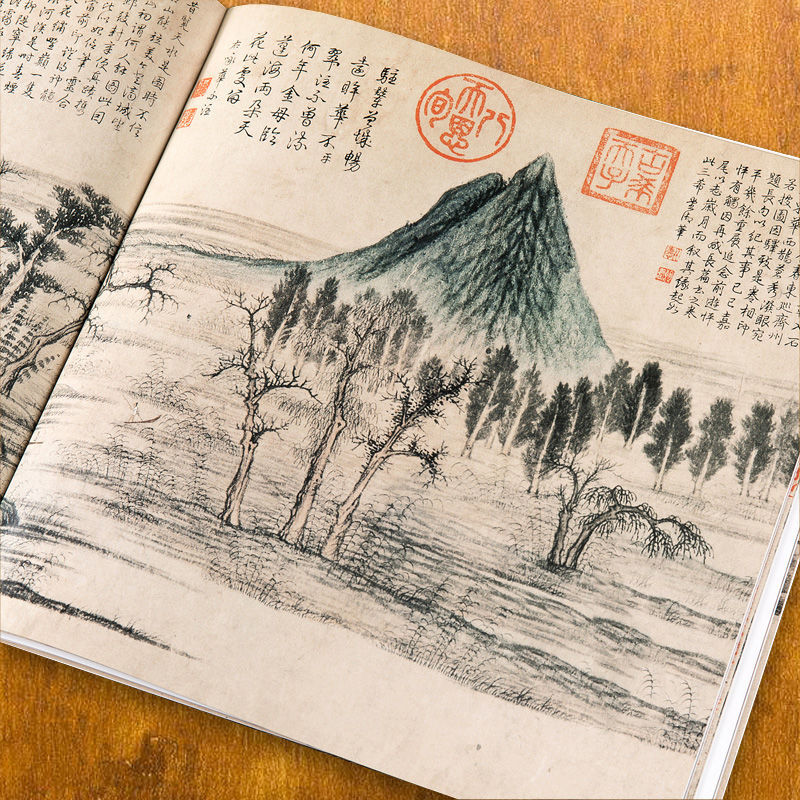 Livre de peinture à la main li - Chinese Calligraphy Practice Book avis et prix