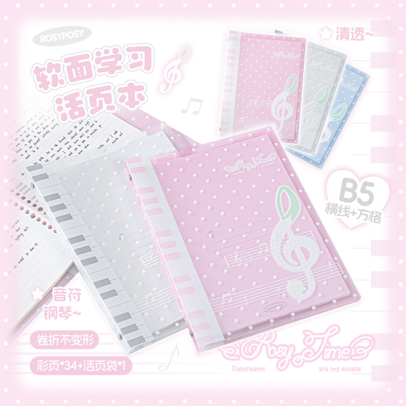 Rosyposy Melody – carnet à feu - Blank Sheet Music Notebook avis et prix