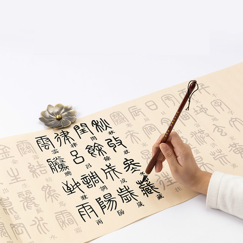 Cahiers de calligraphie au pin - Chinese Calligraphy Practice Book avis et prix